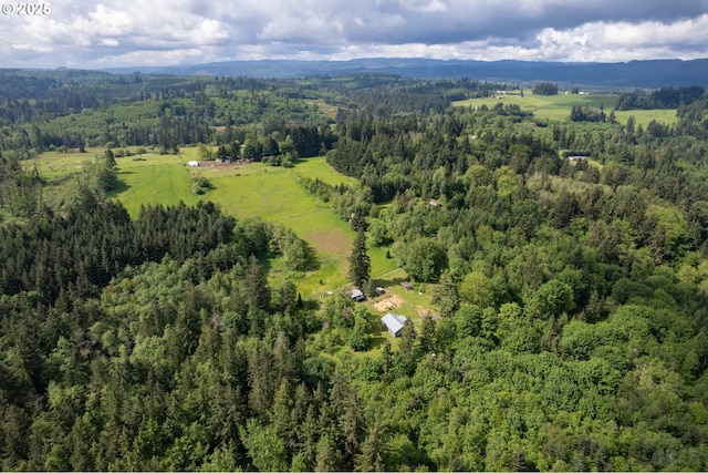 aerial overview of property's location with a heavily wooded area