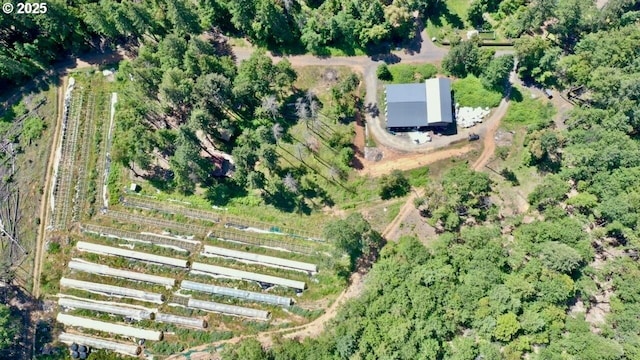 birds eye view of property featuring a rural view