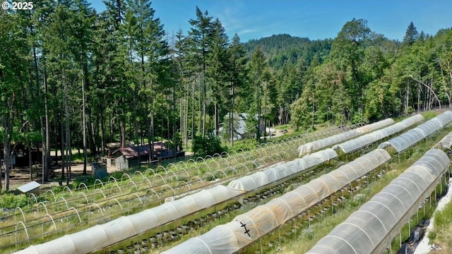 view of community featuring a forest view