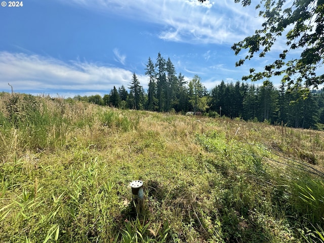 75160 Lost Creek Rd, Clatskanie, OR 97016