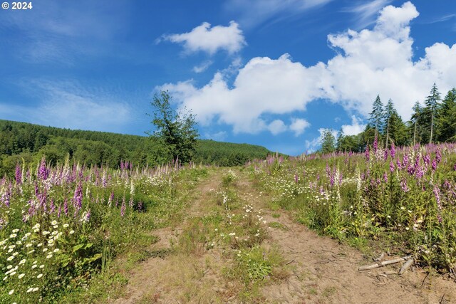 75160 Lost Creek Rd, Clatskanie, OR 97016