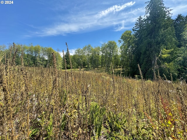 75160 Lost Creek Rd, Clatskanie, OR 97016