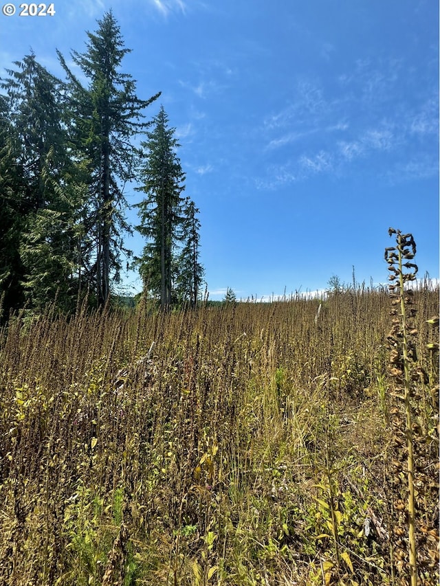75160 Lost Creek Rd, Clatskanie, OR 97016