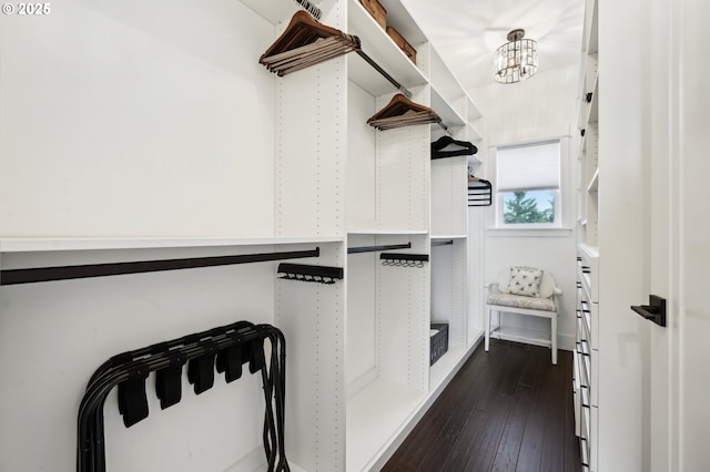 20265 SE Poco Ln, Amity, OR 97101 - spacious closet featuring a chandelier and dark wood-type flooring
