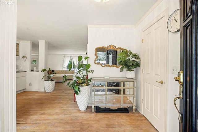 entrance foyer with light hardwood / wood-style flooring