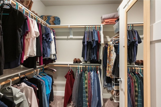 3466 N Holladay St, Cornelius, OR 97124 - spacious closet with carpet flooring