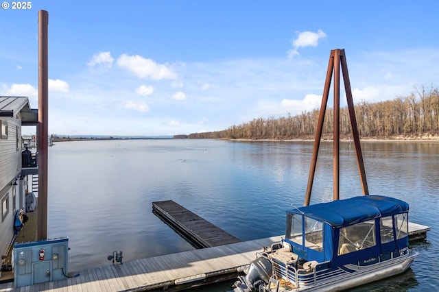 dock area featuring a water view