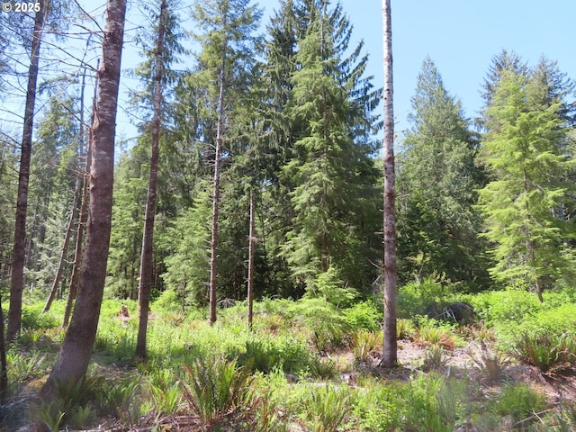 1515 Kirkpatrick Rd, Hoquiam, WA 98550