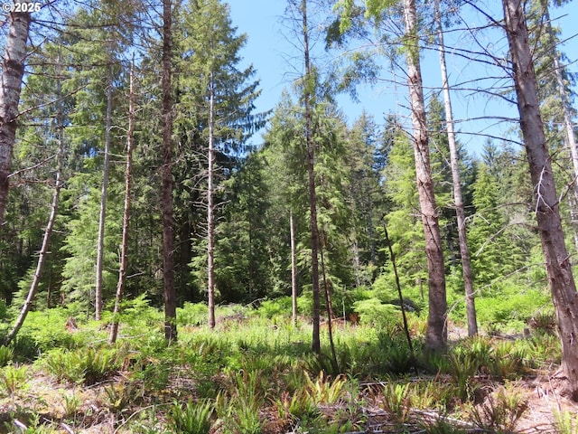 1515 Kirkpatrick Rd, Hoquiam, WA 98550