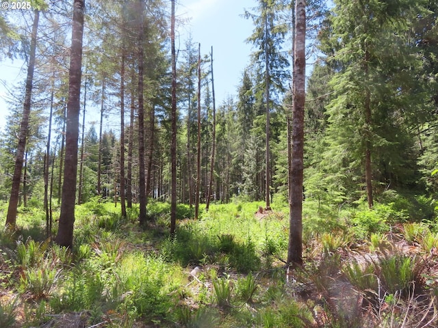 1515 Kirkpatrick Rd, Hoquiam, WA 98550