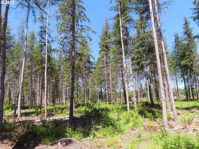 1515 Kirkpatrick Rd, Hoquiam, WA 98550