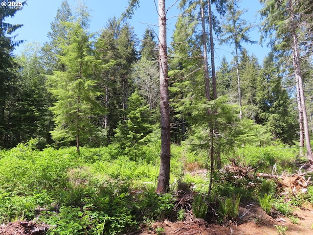1515 Kirkpatrick Rd, Hoquiam, WA 98550