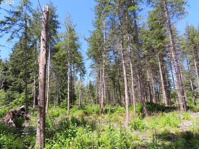 1515 Kirkpatrick Rd, Hoquiam, WA 98550