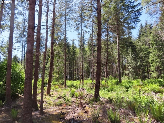1515 Kirkpatrick Rd, Hoquiam, WA 98550