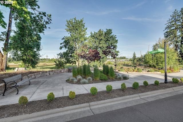 10449 SW Denmark St, Wilsonville, OR 97070 - view of community