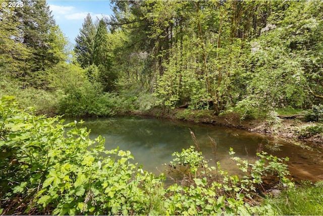 2128 Starveout Creek Rd, Azalea, OR 97410 - water view