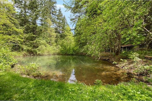 2128 Starveout Creek Rd, Azalea, OR 97410 - water view featuring a heavily wooded area