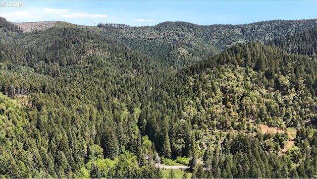 2128 Starveout Creek Rd, Azalea, OR 97410 - view of mountain backdrop featuring a forest