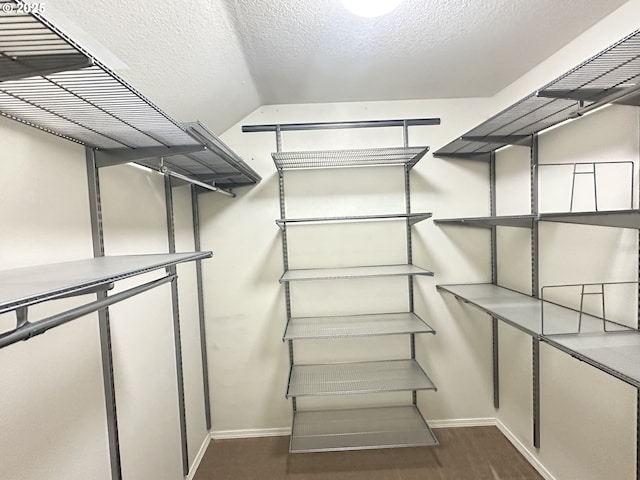22000 SW Grahams Ferry Rd Unit C, Tualatin, OR 97062 - spacious closet featuring dark wood-style floors