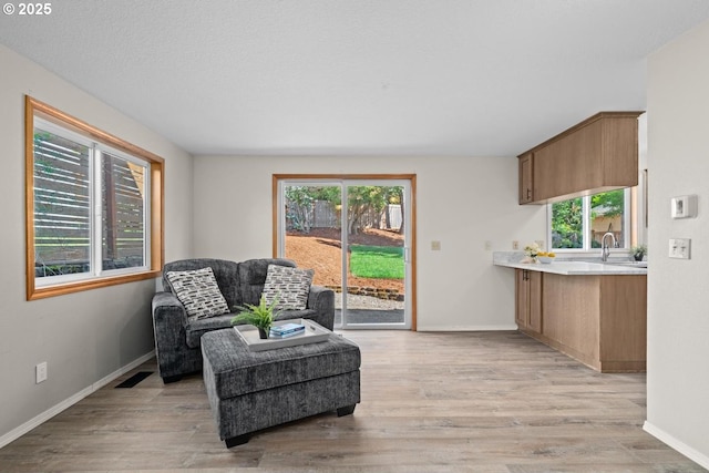 living area featuring light wood-type flooring and baseboards