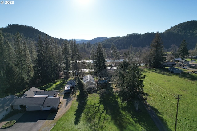 aerial view with a mountain view and a wooded view