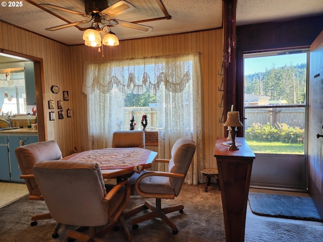 carpeted dining area featuring ceiling fan, sink, and a textured ceiling