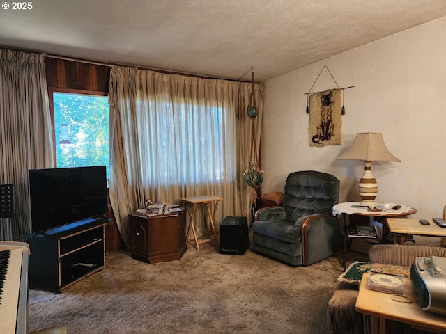 living area featuring carpet and a textured ceiling