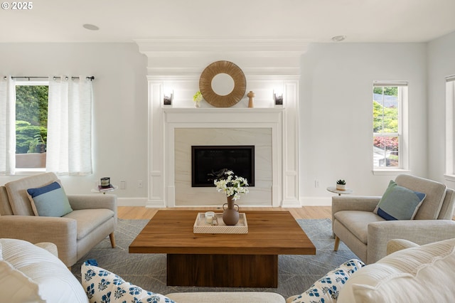living room featuring wood finished floors, baseboards, and a fireplace
