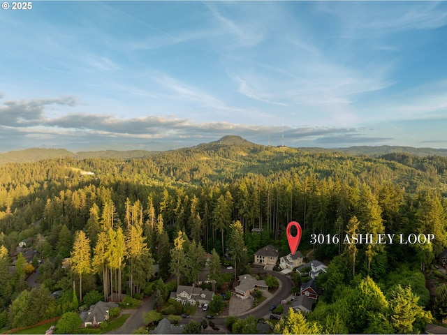 drone / aerial view of a forest and a mountainous background