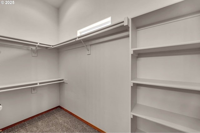 102 NW 103rd St, Vancouver, WA 98685 - walk in closet with dark carpet