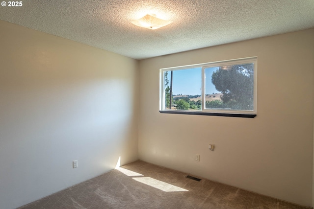 5310 Green Valley Rd, Oakland, OR 97462 - spare room with carpet and a textured ceiling