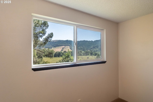5310 Green Valley Rd, Oakland, OR 97462 - unfurnished room featuring a textured ceiling