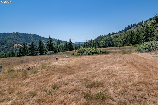5310 Green Valley Rd, Oakland, OR 97462 - view of mountain backdrop featuring a forest and rural landscape