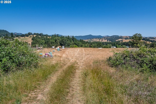5310 Green Valley Rd, Oakland, OR 97462 - mountain view featuring rural landscape