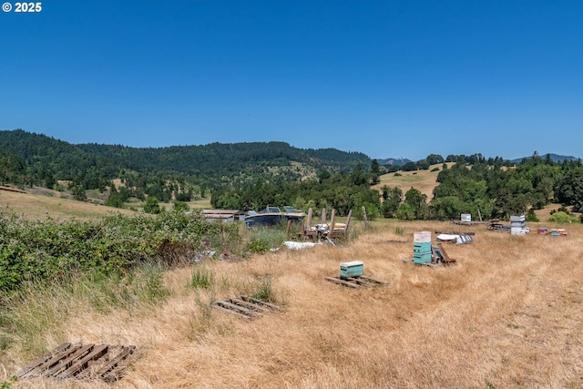 5310 Green Valley Rd, Oakland, OR 97462 - mountain view with a heavily wooded area