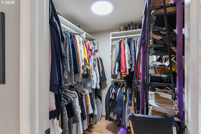 spacious closet featuring hardwood / wood-style floors