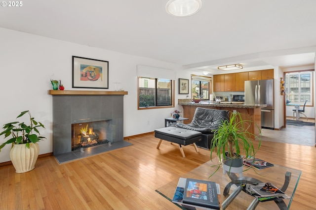 living room with a tiled fireplace and light wood-type flooring