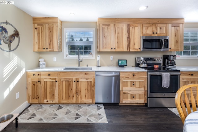 kitchen with dark wood-style flooring, stainless steel appliances, a sink, and light countertops