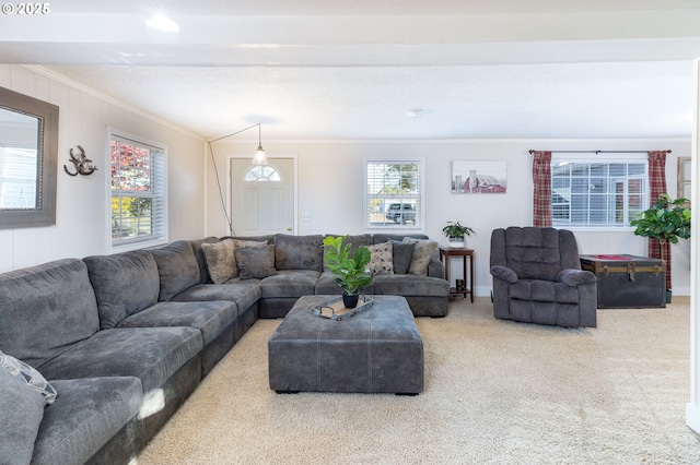 living area with ornamental molding and carpet floors