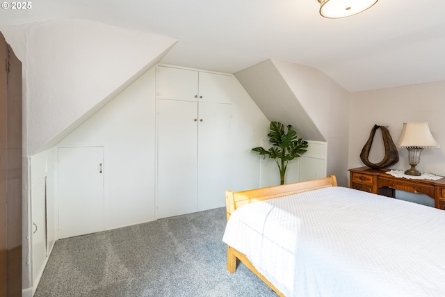 carpeted bedroom with vaulted ceiling and a closet