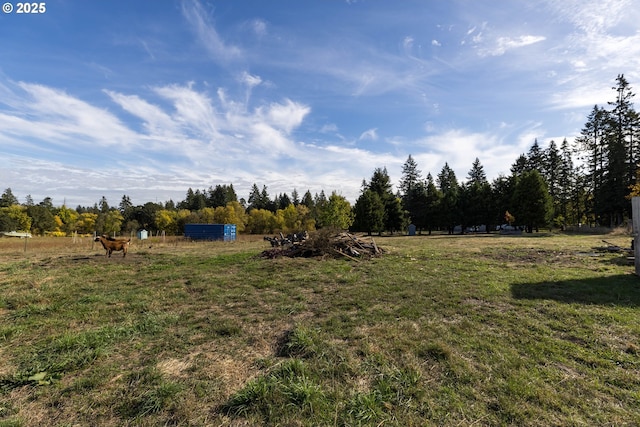 view of yard featuring a rural view