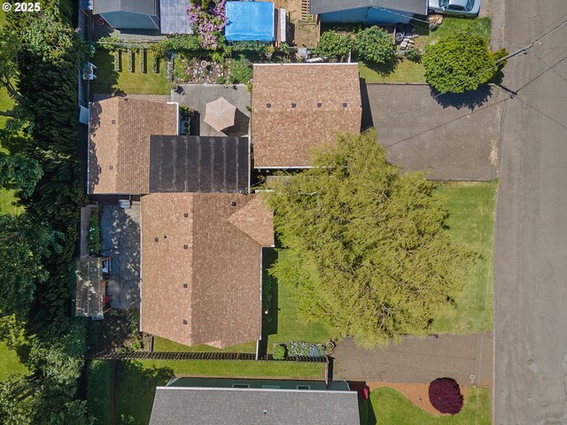 drone / aerial view