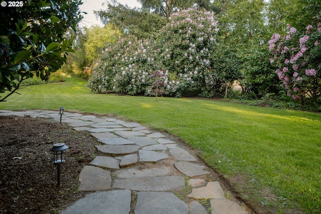 92216 Whiskey Rd, Warrenton, OR 97146 - view of green lawn