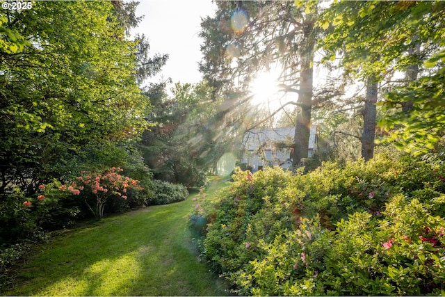 92216 Whiskey Rd, Warrenton, OR 97146 - view of grassy yard