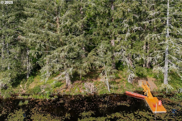 92216 Whiskey Rd, Warrenton, OR 97146 - view of local wilderness