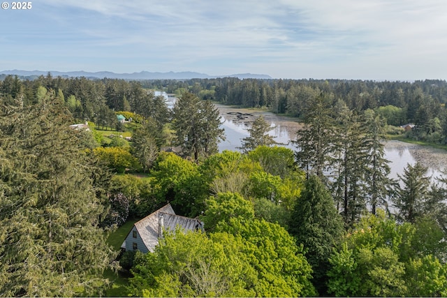 92216 Whiskey Rd, Warrenton, OR 97146 - aerial overview of property's location featuring a nearby body of water and a forest