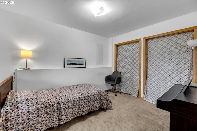 154 NE Tari Ln, Stevenson, WA 98648 - carpeted bedroom with electric panel and multiple closets