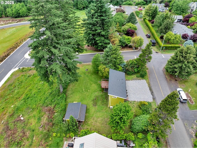 154 NE Tari Ln, Stevenson, WA 98648 - bird's eye view