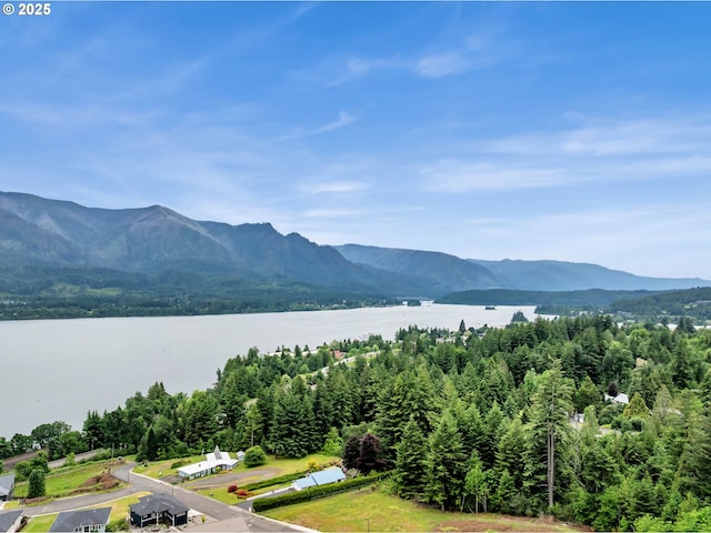 154 NE Tari Ln, Stevenson, WA 98648 - mountain view featuring a large body of water