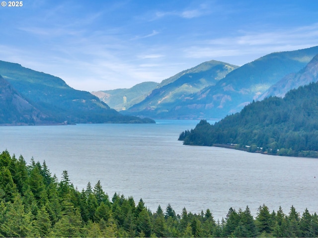 154 NE Tari Ln, Stevenson, WA 98648 - water view with a mountainous background and a heavily wooded area